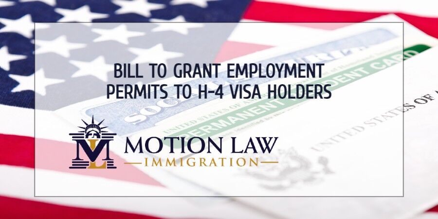 Bill could grant employment permits automatically