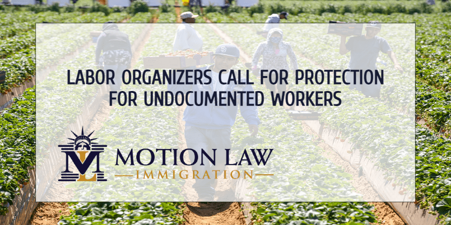 Labor organizers want to offer deferred action to undocumented workers