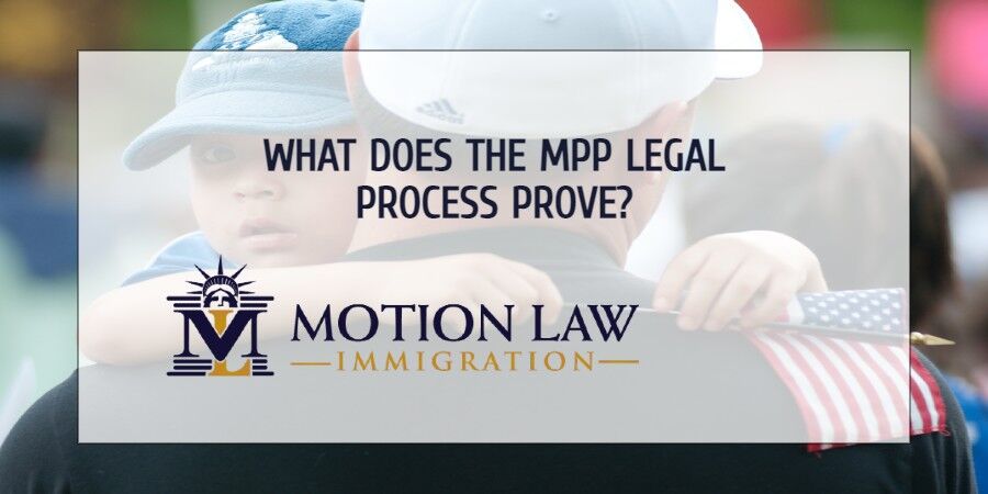 The facts behind the MPP legal cattle