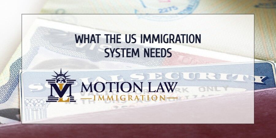 What does the immigration system need to thrive?