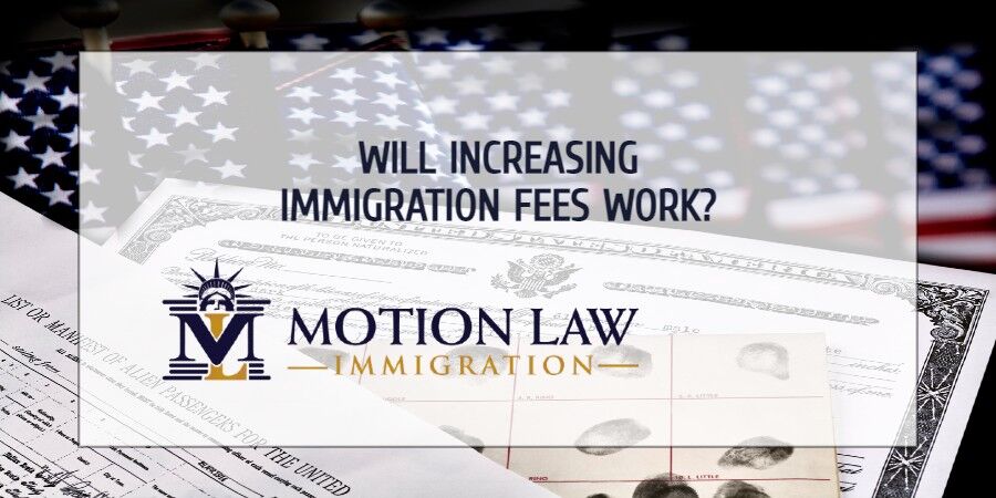 Experts comment on immigration fee hikes