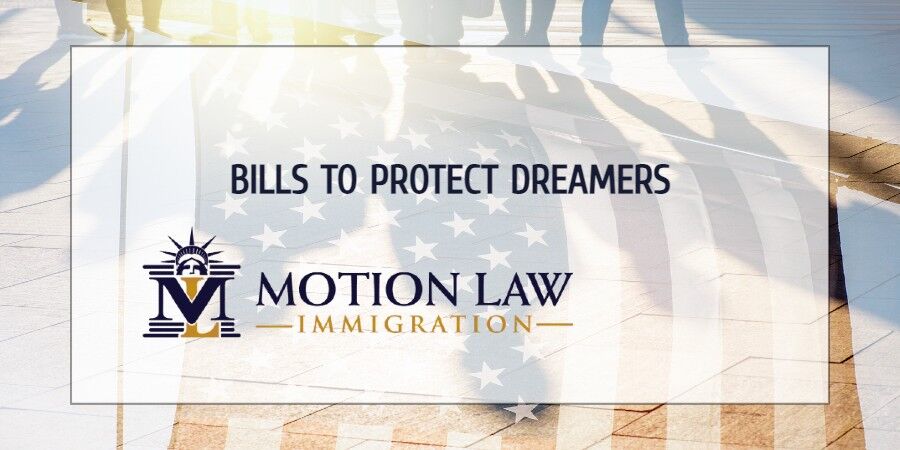 Experts call on Congress to pass bill to protect Dreamers