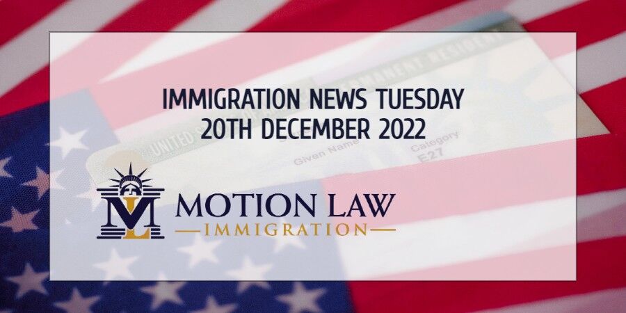 Your Summary of Immigration News in 20th December 2022