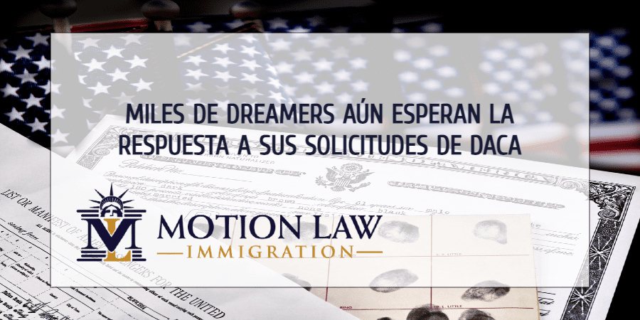 Miles de jóvenes inmigrantes aún esperan la aprobación de sus solicitudes de DACA