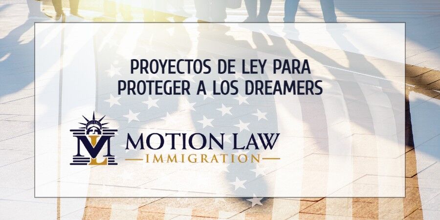 Expertos piden aprobar proyecto de ley para proteger a Dreamers