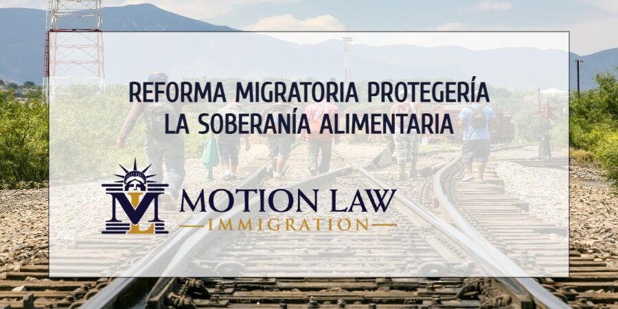 La reforma migratoria beneficiaría al sector agrícola