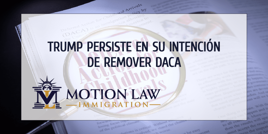 Trump planea iniciar proceso para remover DACA de nuevo