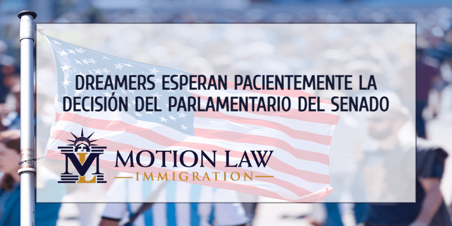 Dreamers esperan apoyo por parte del Parlamentario del Senado