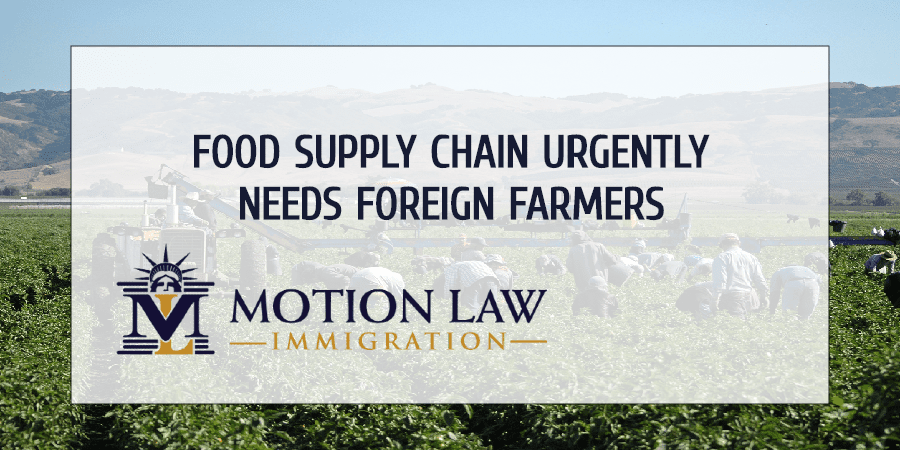 Local markets already feel shortages of foreign farm workers