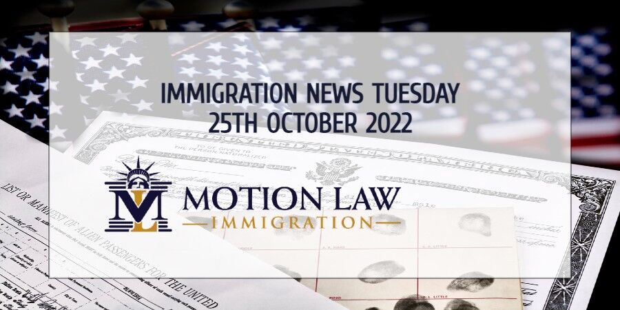 Your Summary of Immigration News in 25th October 2022