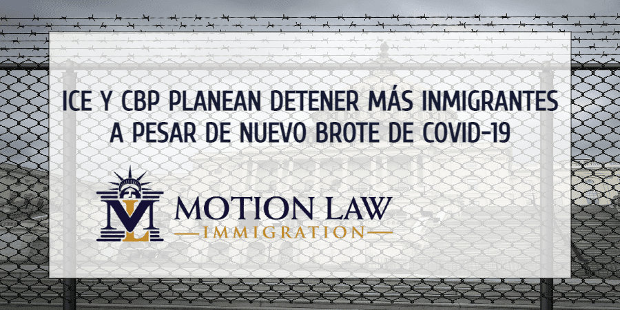 Trump pierde las elecciones y las fuerzas fronterizas incrementan detención de inmigrantes