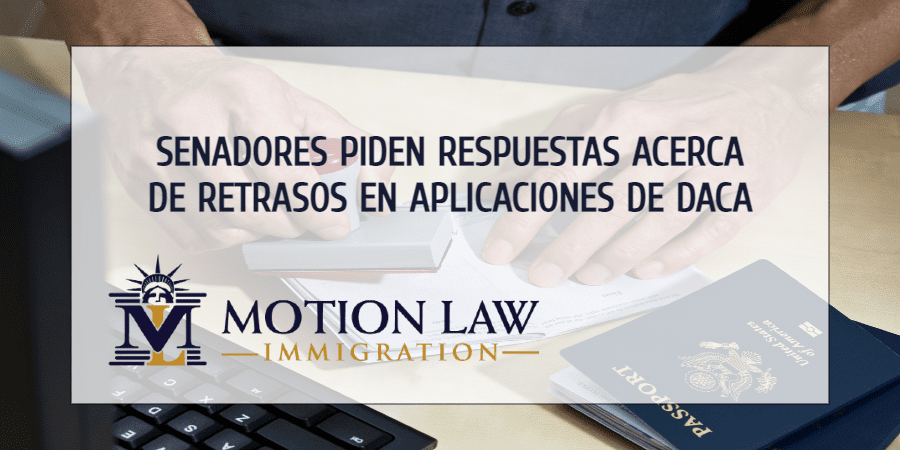 Senadores envían carta por retrasos en aplicaciones de DACA