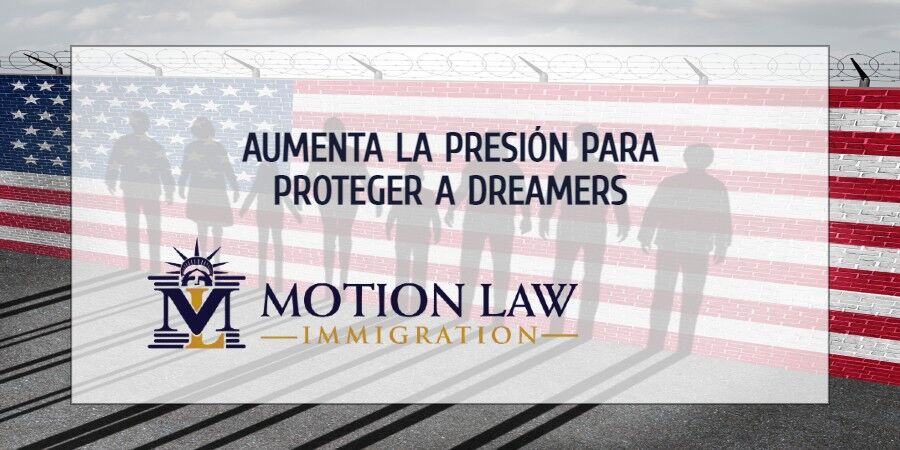 Defensores siguen pidiendo garantías para Dreamers