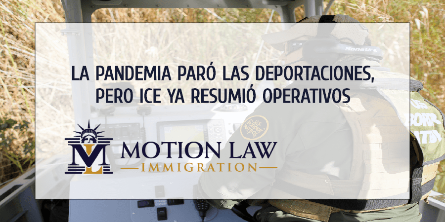 ICE ya ha detenido a casi 2000 inmigrantes indocumentados desde que retomó operativos