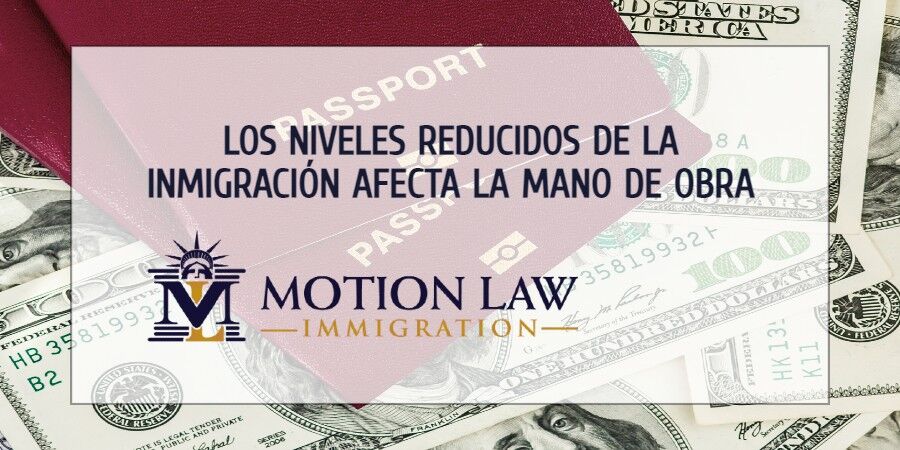 La reducción de la inmigración influye en el sistema laboral en Estados Unidos