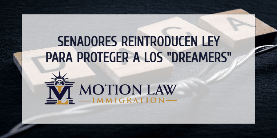 Legisladores reintroducen la “DREAM Act”